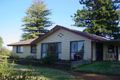 Property photo of 263 Pumps Road Red Cliffs VIC 3496