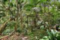 Property photo of 8 Strone Avenue Wahroonga NSW 2076