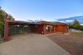 Property photo of 223 Archer Street Shepparton VIC 3630