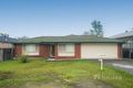 Property photo of 7 Starling Street Loganlea QLD 4131