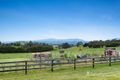 Property photo of 38 Ellis Road Yarra Glen VIC 3775