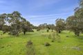 Property photo of 3 Douglas Lane Harcourt VIC 3453