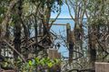 Property photo of 45 Perulpa Drive Lamb Island QLD 4184