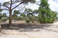 Property photo of 25 Old School Drive Peake SA 5301