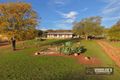 Property photo of 59 Herbert Road York WA 6302