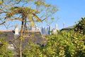 Property photo of 30 Kenneth Street Longueville NSW 2066