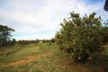 Property photo of 13 Berriman Road Monash SA 5342