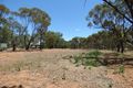 Property photo of 11 Ninth Road York WA 6302