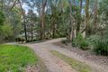 Property photo of 62 Shoreham Road Red Hill South VIC 3937