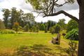 Property photo of 34 Cecil Street Nimbin NSW 2480