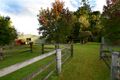 Property photo of 109 Ferrells Road Cooroy QLD 4563