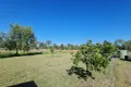 Property photo of 15 Nicholson Street Banana QLD 4702
