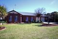 Property photo of 7 Grace Street Bordertown SA 5268