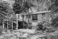 Property photo of 10 Gully Crescent Belgrave VIC 3160