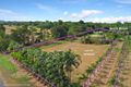 Property photo of 107-111 Snapper Island Drive Wonga Beach QLD 4873