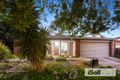 Property photo of 14 Galloway Drive Narre Warren South VIC 3805