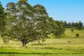 Property photo of 36 Kyogle Road Kyogle NSW 2474