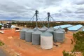 Property photo of 8 Gabo Avenue Merredin WA 6415