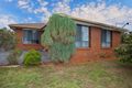 Property photo of 19 Martingale Court Epping VIC 3076