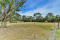 Property photo of 144 Barry Avenue Catherine Field NSW 2557