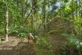 Property photo of 699 Tomewin Mountain Road Currumbin Valley QLD 4223