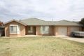 Property photo of 23 Yarrawah Crescent Bourkelands NSW 2650