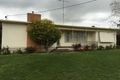 Property photo of 61 Alexandra Parade Hamilton VIC 3300