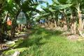 Property photo of 3 Brincat Road Utchee Creek QLD 4871