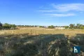 Property photo of 13838 Kamilaroi Highway Boggabri NSW 2382