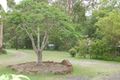 Property photo of 23 Gisbourne Street Forestdale QLD 4118