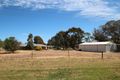 Property photo of LOT 29 South Terrace Farrell Flat SA 5416