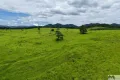 Property photo of 51 Booth Road Utchee Creek QLD 4871