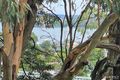 Property photo of 62B Berringar Road Valentine NSW 2280