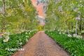 Property photo of 2 Kauri Place Springvale NSW 2650