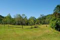 Property photo of 321 Paluma Road Woodwark QLD 4802