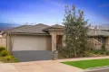 Property photo of 14 Heathwren View Werribee VIC 3030
