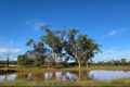 Property photo of 45A Maitland Street Condobolin NSW 2877