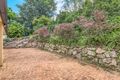 Property photo of 49 Todd Street Taringa QLD 4068