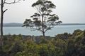 Property photo of 3 Derribong Avenue Catalina NSW 2536