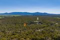 Property photo of 449 Elephant Pass Road Gray TAS 7215