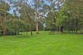 Property photo of 1 Mimosa Court Buxton VIC 3711