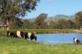 Property photo of 80 Millards Lane Euroa VIC 3666