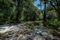 Property photo of LOT 575 Papacek Access Little Mulgrave QLD 4865