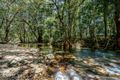 Property photo of LOT 575 Papacek Access Little Mulgrave QLD 4865