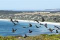 Property photo of LOT 61 Bayview Road Emu Bay SA 5223