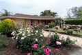 Property photo of 58 Para Road Tanunda SA 5352