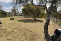 Property photo of 23 Taylor Street Dumbleyung WA 6350