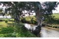 Property photo of 10 Judd Court Grangefields VIC 3335