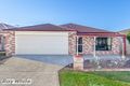 Property photo of 8 Knox Street North Lakes QLD 4509