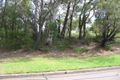 Property photo of 40 Richardson Avenue Padstow NSW 2211